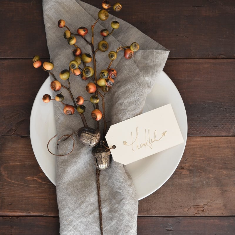 Leaf-Shaped Plates